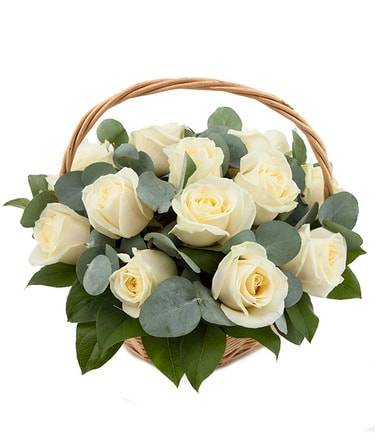 Белоснежная Белоснежная